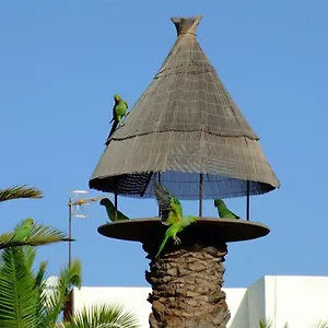 La Kasita In Primavera Apartamento Costa del Silencio